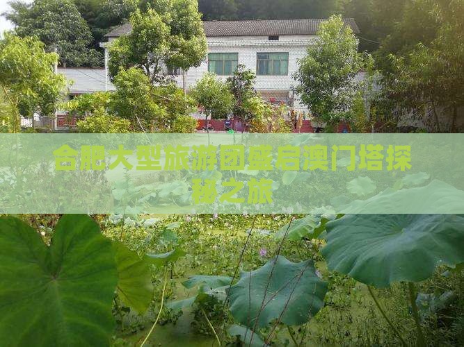 合肥大型旅游团盛启澳门塔探秘之旅