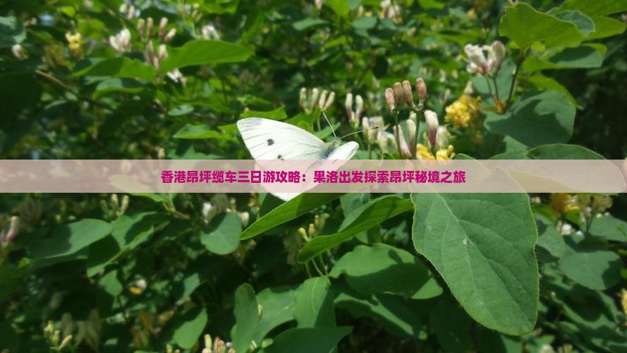 香港昂坪缆车三日游攻略：果洛出发探索昂坪秘境之旅