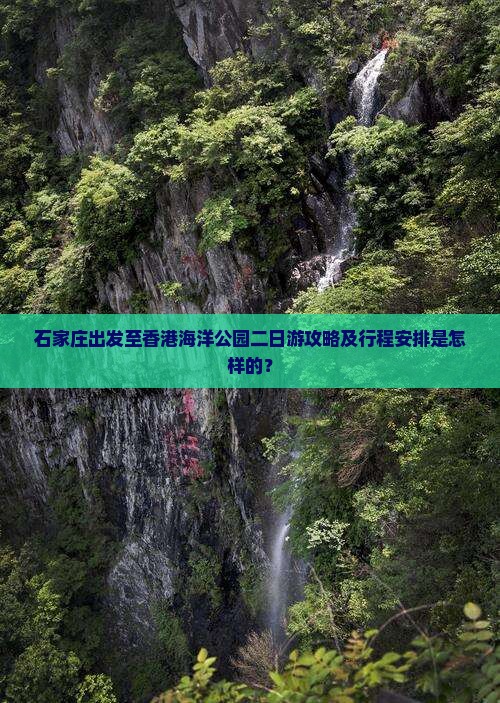 石家庄出发至香港海洋公园二日游攻略及行程安排是怎样的？