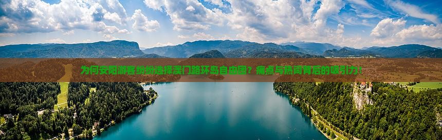 为何安阳游客纷纷选择澳门路环岛自由团？痛点与热词背后的吸引力！