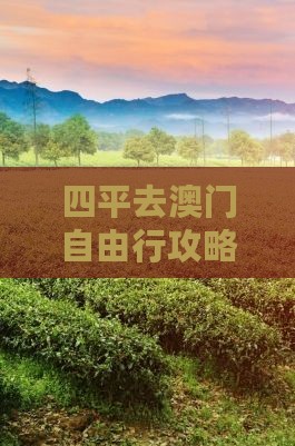 四平去澳门自由行攻略：路线及交通指南