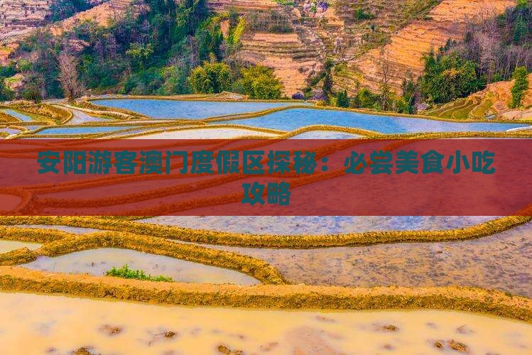 安阳游客澳门度假区探秘：必尝美食小吃攻略
