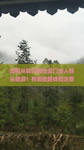 如何从铜川前往澳门渔人码头旅游？有哪些路线和注意事项？