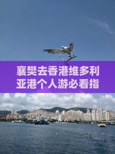襄樊去香港维多利亚港个人游必看指南