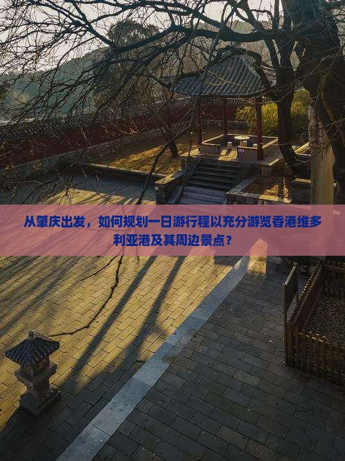 从肇庆出发，如何规划一日游行程以充分游览香港维多利亚港及其周边景点？