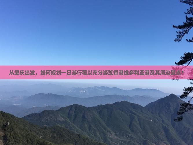 从肇庆出发，如何规划一日游行程以充分游览香港维多利亚港及其周边景点？