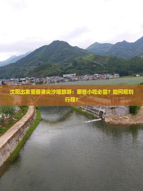 沈阳出发至香港尖沙咀旅游：哪些小吃必尝？如何规划行程？