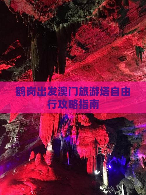 鹤岗出发澳门旅游塔自由行攻略指南