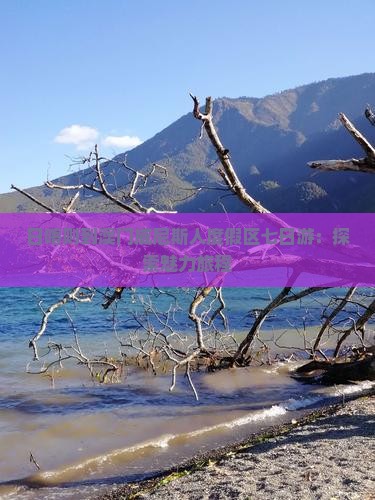 日喀则到澳门威尼斯人度假区七日游：探索魅力旅程