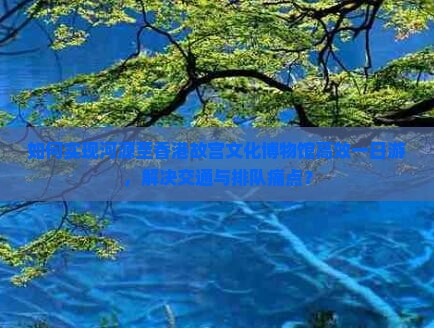 如何实现河源至香港故宫文化博物馆高效一日游，解决交通与排队痛点？
