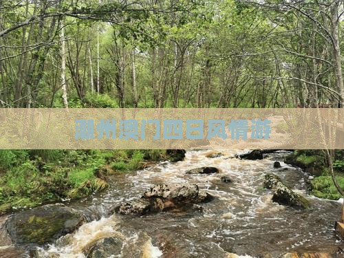 潮州澳门四日风情游