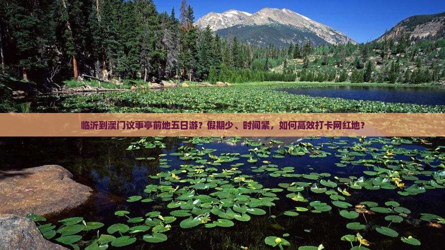 临沂到澳门议事亭前地五日游？假期少、时间紧，如何高效打卡网红地？