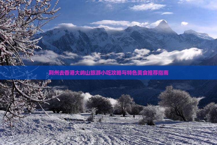 荆州去香港大屿山旅游小吃攻略与特色美食推荐指南