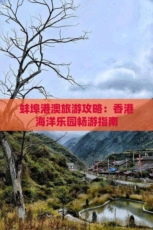 蚌埠港澳旅游攻略：香港海洋乐园畅游指南
