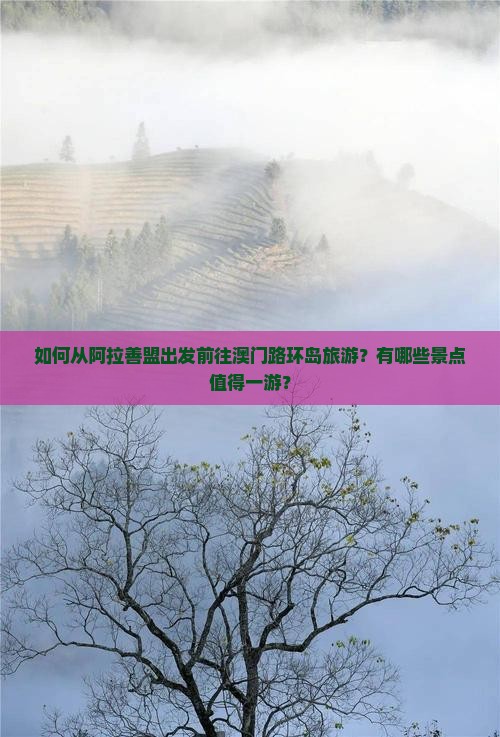 如何从阿拉善盟出发前往澳门路环岛旅游？有哪些景点值得一游？