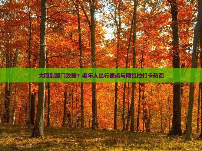 大同到澳门攻略？老年人出行痛点与网红地打卡热词