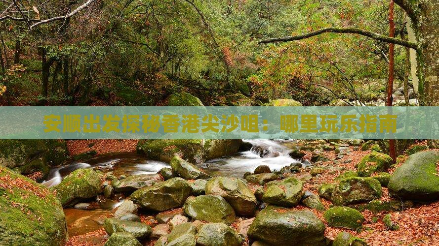 安顺出发探秘香港尖沙咀：哪里玩乐指南