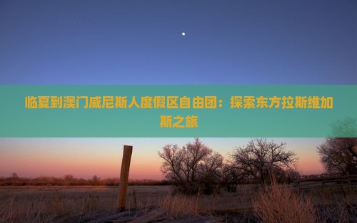 临夏到澳门威尼斯人度假区自由团：探索东方拉斯维加斯之旅
