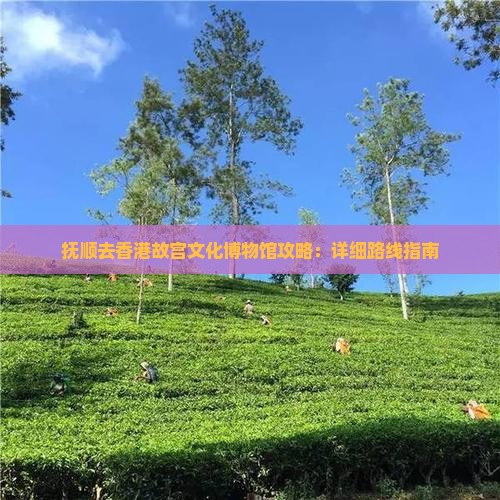 抚顺去香港故宫文化博物馆攻略：详细路线指南