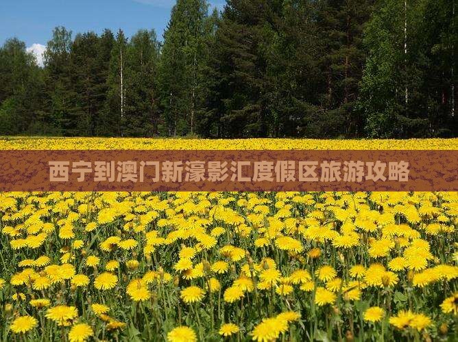 西宁到澳门新濠影汇度假区旅游攻略