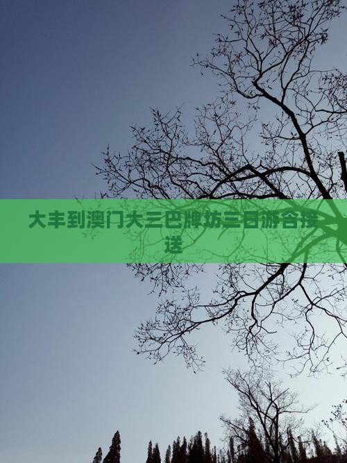大丰到澳门大三巴牌坊三日游含接送