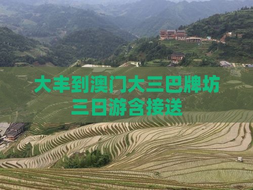 大丰到澳门大三巴牌坊三日游含接送