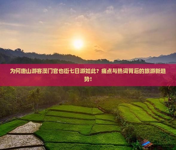 为何唐山游客澳门官也街七日游如此？痛点与热词背后的旅游新趋势！