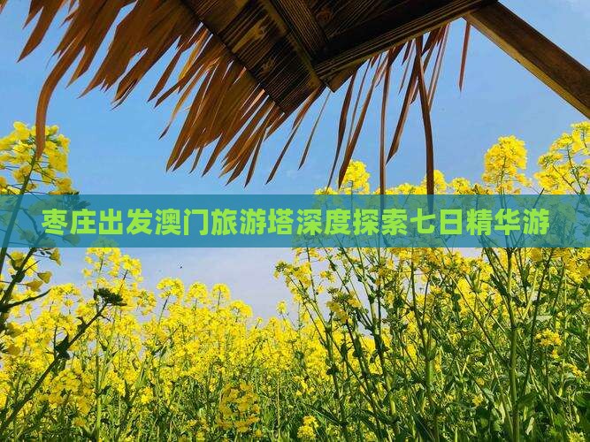 枣庄出发澳门旅游塔深度探索七日精华游