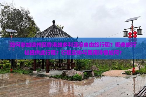 如何参加德州至香港维多利亚港自由旅行团？哪些旅行社提供此行程？行程安排与费用详情如何？