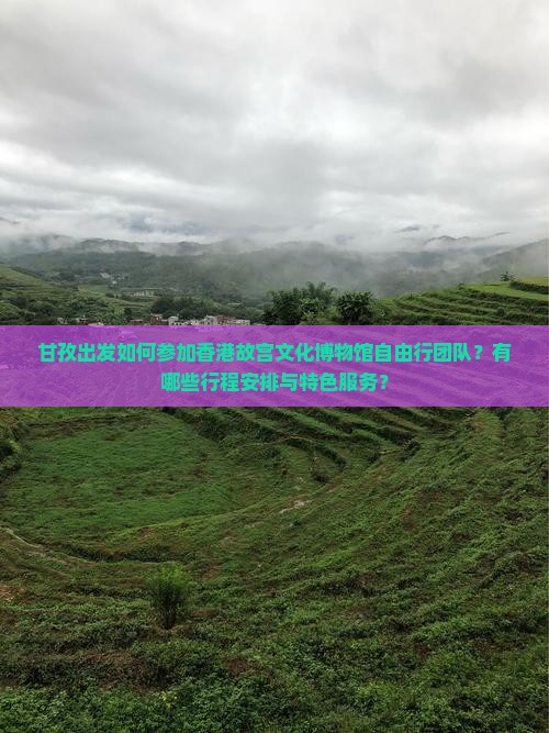 甘孜出发如何参加香港故宫文化博物馆自由行团队？有哪些行程安排与特色服务？