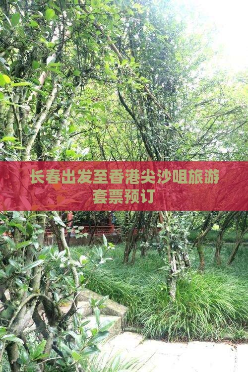 长春出发至香港尖沙咀旅游套票预订