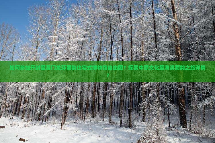 如何参加开封至澳门龙环葡韵住宅式博物馆自由团？探索中原文化至海滨葡韵之旅详情？