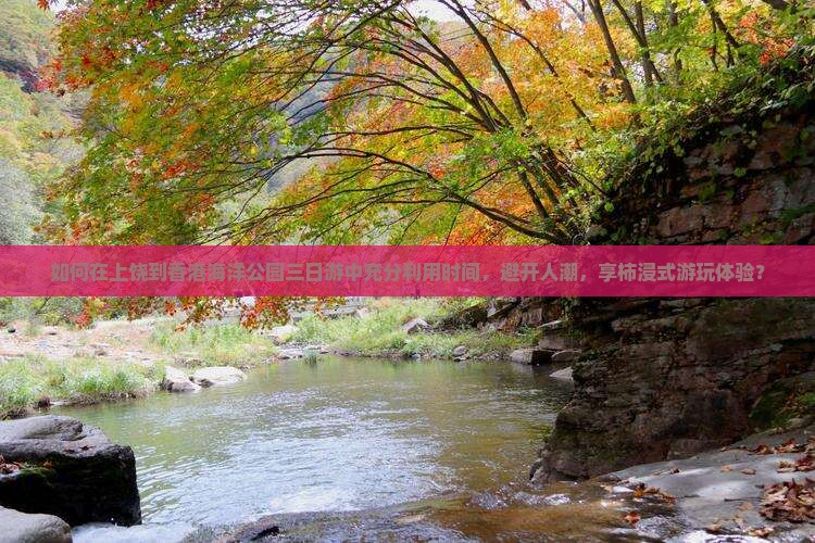 如何在上饶到香港海洋公园三日游中充分利用时间，避开人潮，享柿浸式游玩体验？