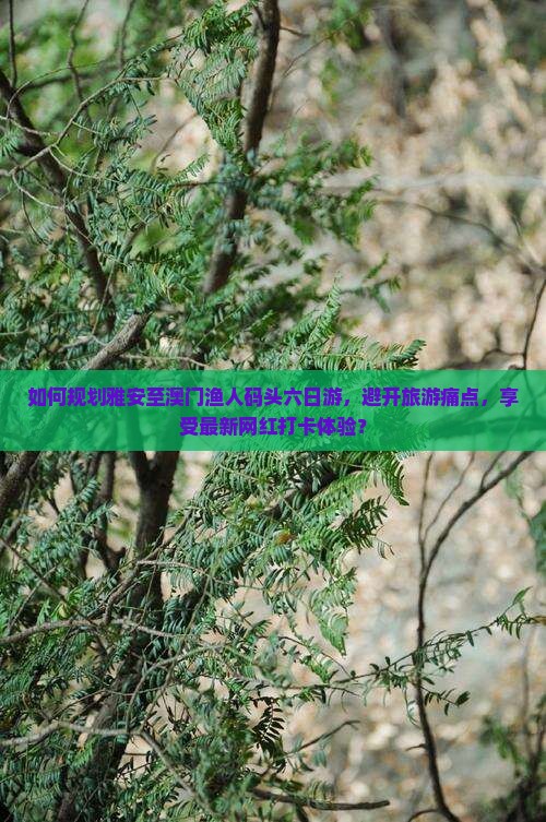 如何规划雅安至澳门渔人码头六日游，避开旅游痛点，享受最新网红打卡体验？