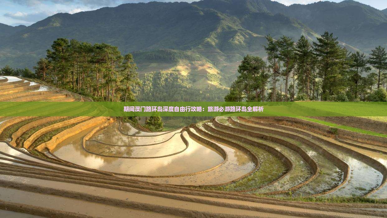 期间澳门路环岛深度自由行攻略：旅游必游路环岛全解析