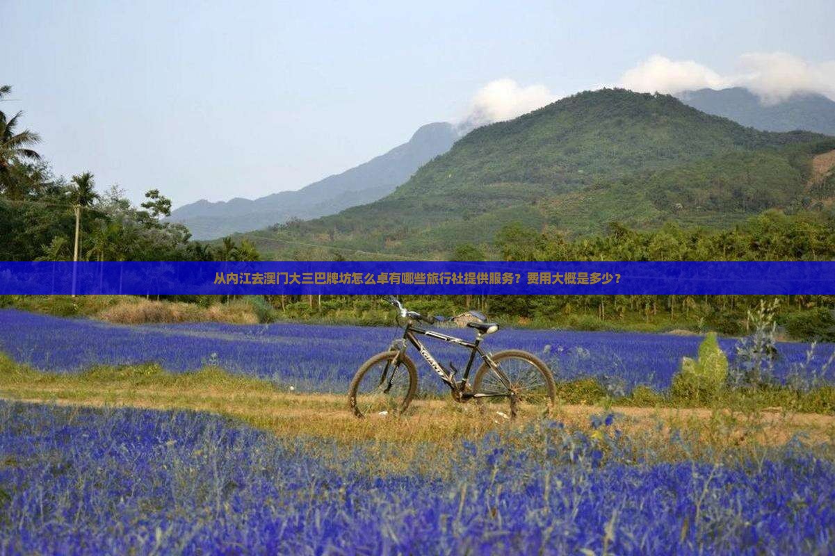 从内江去澳门大三巴牌坊怎么卓有哪些旅行社提供服务？费用大概是多少？