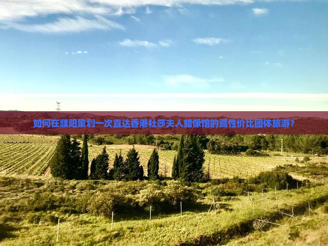 如何在濮阳策划一次直达香港杜莎夫人蜡像馆的高性价比团体旅游？