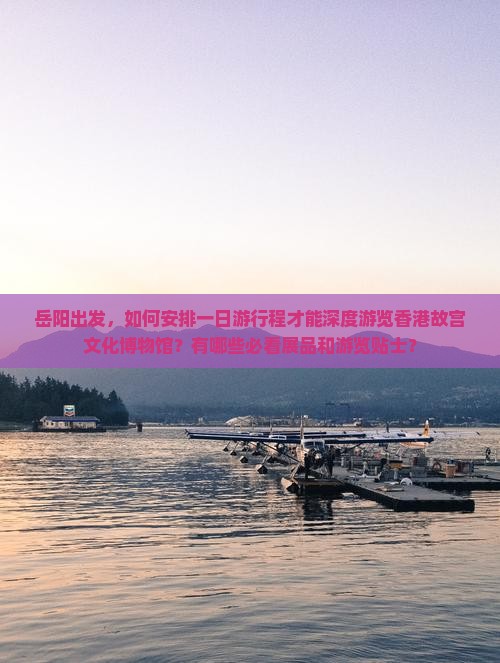 岳阳出发，如何安排一日游行程才能深度游览香港故宫文化博物馆？有哪些必看展品和游览贴士？