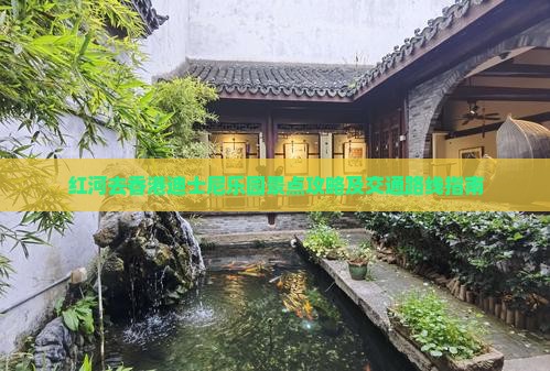 红河去香港迪士尼乐园景点攻略及交通路线指南