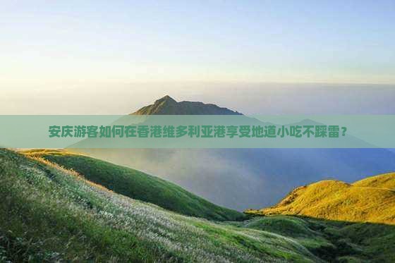 安庆游客如何在香港维多利亚港享受地道小吃不踩雷？