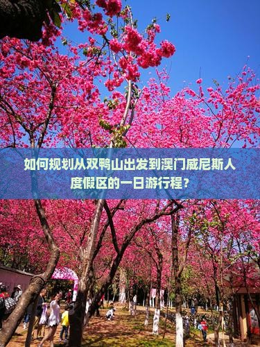 如何规划从双鸭山出发到澳门威尼斯人度假区的一日游行程？