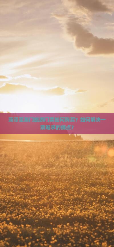 菏泽至澳门旅游门票如何购买？如何解决一票难求的痛点？