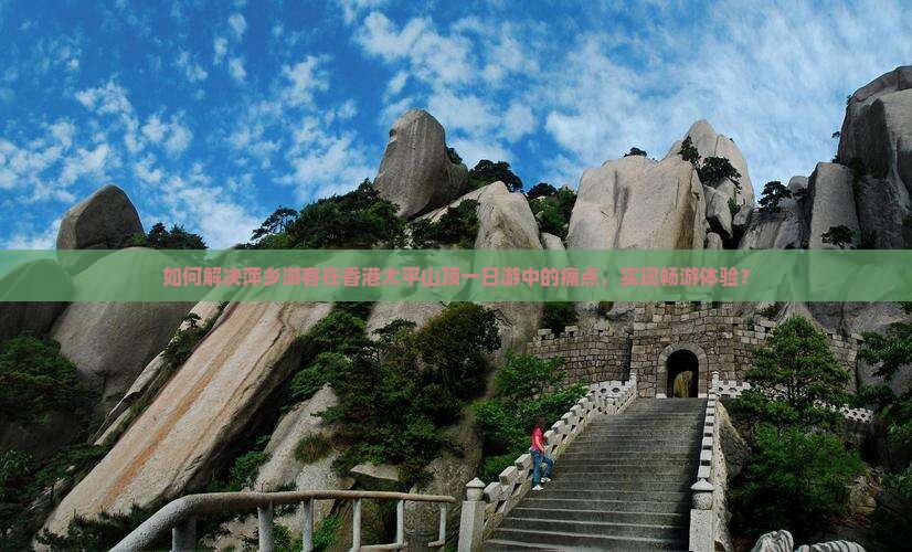 如何解决萍乡游客在香港太平山顶一日游中的痛点，实现畅游体验？