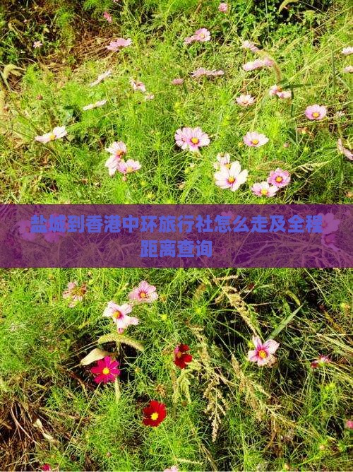 盐城到香港中环旅行社怎么走及全程距离查询