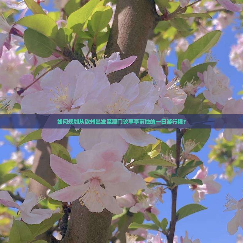 如何规划从钦州出发至澳门议事亭前地的一日游行程？
