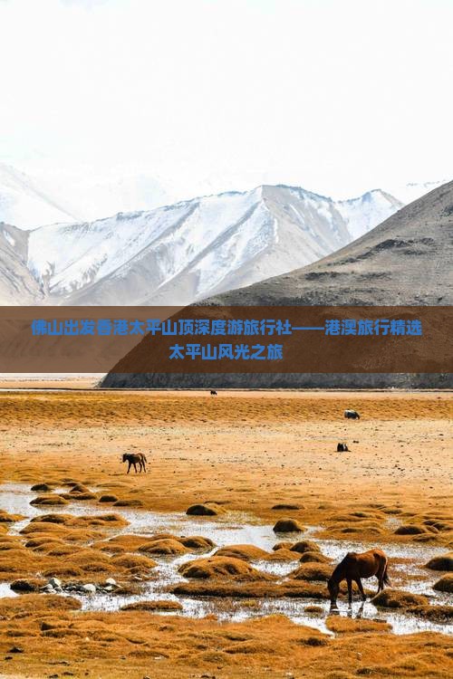 佛山出发香港太平山顶深度游旅行社——港澳旅行精选太平山风光之旅