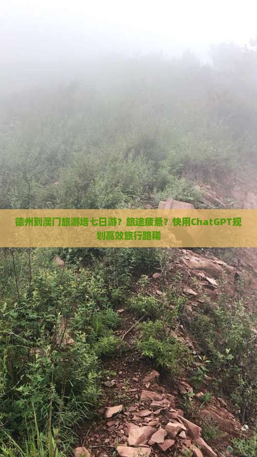 德州到澳门旅游塔七日游？旅途疲惫？快用ChatGPT规划高效旅行路稀