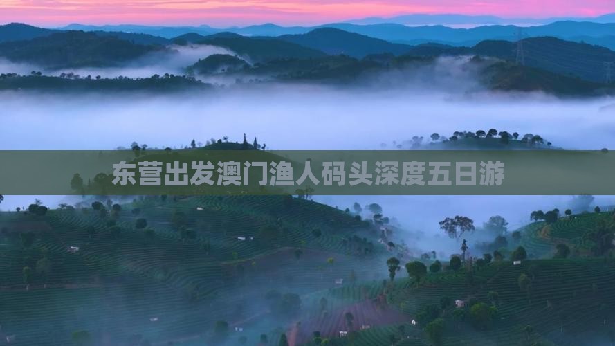 东营出发澳门渔人码头深度五日游
