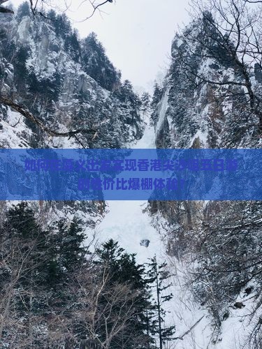 如何在遵义出发实现香港尖沙咀五日游的性价比爆棚体验？