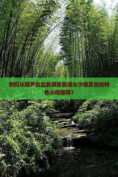 如何从葫芦岛出发游览香港尖沙咀及当地特色小吃推荐？
